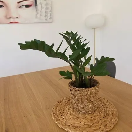 펜션 Maison Avec Piscine Au Bord De La 루케이트